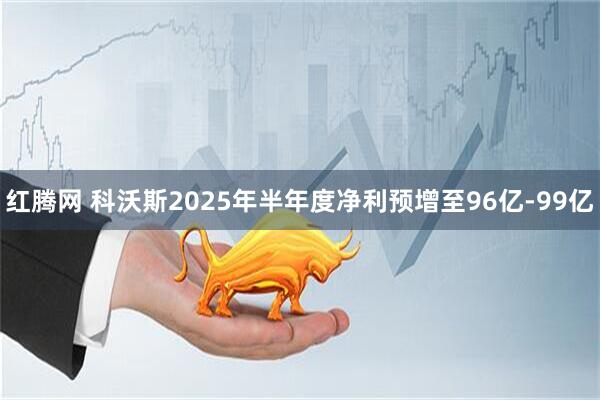 红腾网 科沃斯2025年半年度净利预增至96亿-99亿