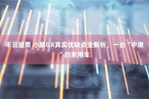 丰云股票 小鹏GX真实优缺点全解析，一台“中庸”的家用车